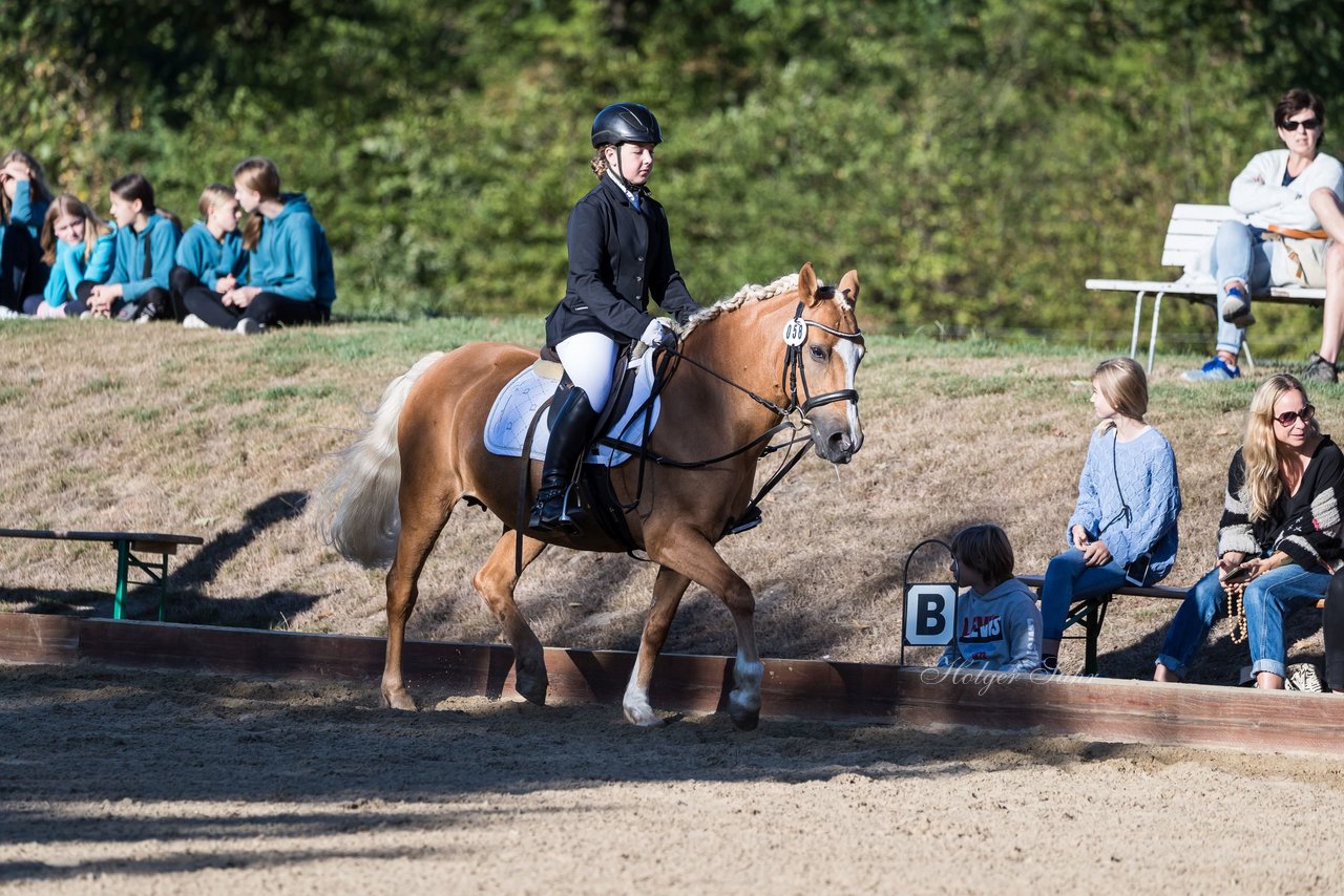 Bild 37 - Pony Akademie Turnier